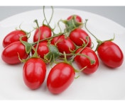 더리얼스 엠데코:대한민국 대표 플라워 종합쇼핑몰 [더리얼스 엠데코] 꼭지 토마토 모형 레드 3.4cm 10개 세트 인조 방울 대추토마토 스테비아... 