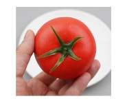 더리얼스 엠데코:대한민국 대표 플라워 종합쇼핑몰 [더리얼스 엠데코] 토마토 모형 레드 7.6cm 모조 채소 야채 음식모형 장식 진열 소품 꾸미기