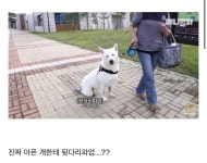 갑수농장 자막