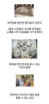 목욕탕의 역사