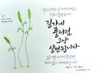 우리 인생은 ..........