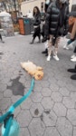 집에 좀 가자~~ 응?