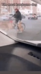 자연스럽개