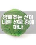 연극 [작업의 정석] 양도