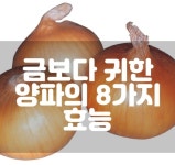 금보다 귀한 양파의 8가지 효능