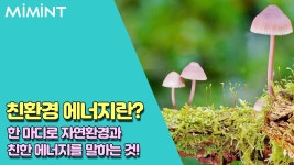 친환경 에너지란 정확히 뭘까?