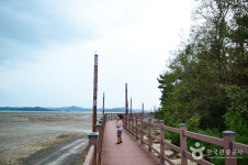 충청남도 서산시 대산읍 웅도