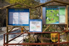 매봉힐링쉼터 오토캠핑장