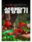 설향딸기 딸기농장 직송 12,900원