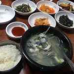 통영 쫄복국 와우