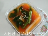 시원한 열무 물김치 만들기
