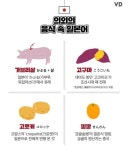 의외의 생활 속 일본어