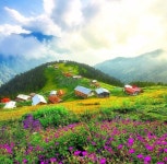 내 마음의 꽃 당신