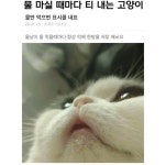 나셈 그리스 천연해면 파인실크