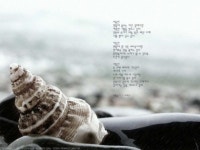 시화(詩畵) 여름일기 - 이해인.jpg
