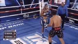 [스압] KO율 100%, 현 복싱계 최고의 유망주.jpgif