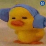 귀여움이 뚫고 나오는 저화질 오리 짤