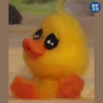 귀여움이 뚫고 나오는 저화질 오리 짤