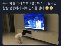 동요콘서트 [구름빵] 덧글이벤트