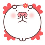 저도 돼지 임오티콘!