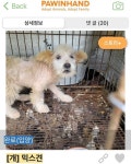 용인시, AI 유입차단…총력 방역체제 가동