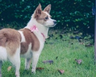 까페에서 우연히 만난 첫사랑