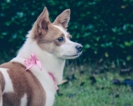 까페에서 우연히 만난 첫사랑