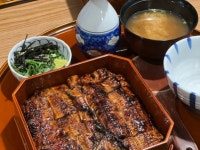 한마리반 장어는 정말 …… 모질라..