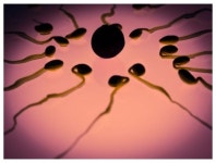 지구촌 남성 정자 수 60% 줄었다 … “인류 생식 위기” 경고