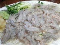 전복, 해삼, 세꼬시, 자연산 굴