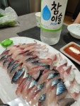 쫀쫀한 고등어 회