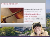 역시 슈카월드는 유익한 채널이야