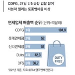 국영화장품소매 | 中국영 '면세점 공룡' 한국 안방도 넘본다