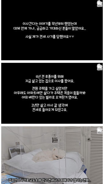 200만 유튜버도 당하는 전세사기