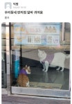 우리 동네 편의점 알바 귀여움