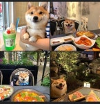 ㅎㅏㅇㅅㅏㅇ ㅇㅜㅅㄱㅐ
