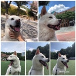 집사부일체 류현진, 한국 스포츠 선수 중 최고 연봉 대우 달라 집사부일체 류현진, 한국 스포츠 선수 중 최고 연봉 