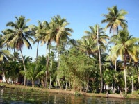 세계테마기행 무깡짜이 다랑이논ㆍ퐁나케방 국립공원ㆍ푸꾸옥섬 딘꺼우 야시장, 쉬고 싶을 때 베트남