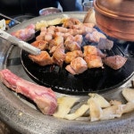 숙성도