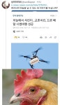 죽어야만 하늘을 자유롭게 날수 있는 새