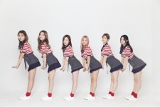 베리굿