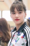 도연