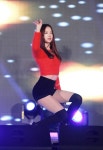 솔지