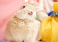 ㅇㅎ) 요즘 점점 변질되고 있다는 ‘동탄’의 의미