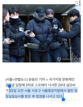 배현진 습격범 이재명 지지자 아님