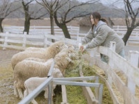 농장에 간 뉴진스 혜인