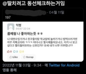 화순군 고인돌 오토캠핑장, 5월 6일 개장