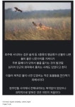 하나ENC 방역소독 | 광양시 중마장애인복지관, SNNC와 장애인가정 방역소독 지원