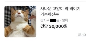 충주 공식 알림이충주톡, 3만 명 돌파