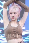 VIVIZ 은하